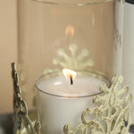 ペレグリーノ - 