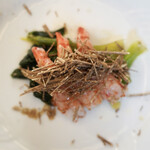 ペレグリーノ - 