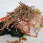 ペレグリーノ - 