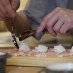 ペレグリーノ - 