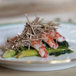 ペレグリーノ - 