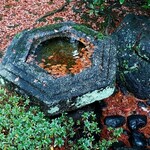 西田家庭園　玉泉園 - 