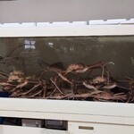 道の駅みくに ふれあいパーク三里浜 - 