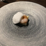 オッジ ダルマット - 