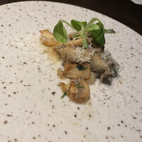 オッジ ダルマット 西麻布店 - 