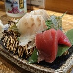 Izakaya Furusato - 此の日も〆鯖品切れだっため羽幌活〆シマそい (¥650)オーダー。するとマグロサービス◎この心配りが嬉しい。