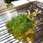 やっ本気 - 大葉