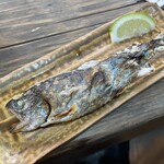 いろり山賊 - ヤマメ