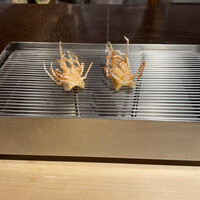 てんぷら山の上 Ginza - 