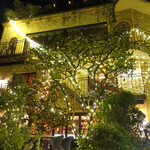 Rue Favart - ボエムのクリスマス・ツリー