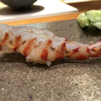 天寿し 京町店 - 車海老　半生よりまだ生に近いのが絶妙です