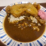 すき家 - ほろほろチキンカレー (小盛)