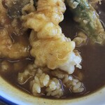 Tendon Tempura Hompo Santen - 京風カレー天丼