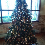 ダニエルハウス - ２０１２．１２