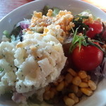 ダニエルハウス - ランチサラダバ－