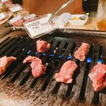 肉の変態集団 疾風ホルモン - 