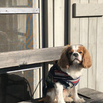 森の食堂 smile spoon - ももたは遠い目