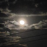 伊藤家のつぼ - 