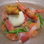 リストランテ ネグラマーロ - 北海道産 甘えびと生ウニを添えたカリフラワーのパンナコッタ フルーツトマトのソース