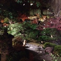 がんこ 高瀬川二条苑 - 庭園
