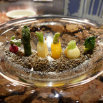 セララバアド - 冬の大地