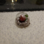 セララバアド - ミニャルディーズ