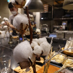 セララバアド - 樹氷　コットン