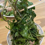 居酒屋 今池ファーム - 