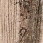 ギョウザ家サンタ - 拡大すると店名が！！