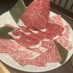 Ginza Shabu Ki Kuroge Wagyuu Shabu Shabu Sukiyaki Semmon Ten - 