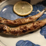 しんきろう - シシャモ