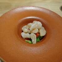 bb9 - アコヤガイ