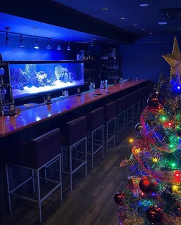 Aquarium bar OCEANS - 