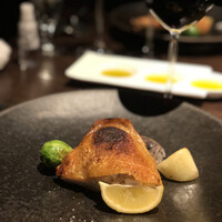 オッジ ダルマット 西麻布店 - 