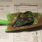 神保町 傳 - 苔っ！