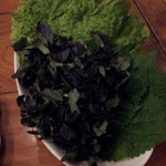 牛舎 - 野菜（サンチュ、エゴマ、クレソン）２０１２，１２