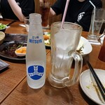 三代目 鳥メロ - o(^o^)o