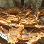 富小路 やま岸 - 