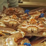 富小路 やま岸 - 