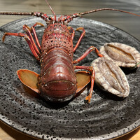 ニュー松坂 六本木店 - 