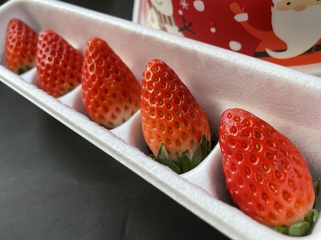 デイリーヤマザキ 庄内羽黒町店 （Daily YAMAZAKI） - 鶴岡（コンビニ・スーパー）の写真