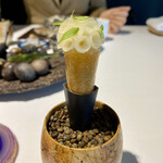 ラ・ヴァガボンド - 