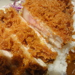 丸山吉平 - カツカレーのカツのレベルを超えている