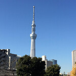 坂本商店 - 昼間は地味なスカイツリー