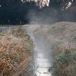 さかなどころ ともさき - 