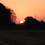 さかなどころ ともさき - 