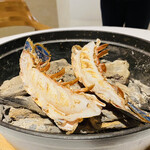 macua - 仏ブルターニュ産オマールブルー 