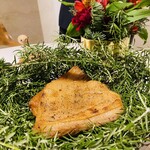 macua - 広島県産瓜坊のロティ