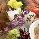 醍醐 - アオリイカ