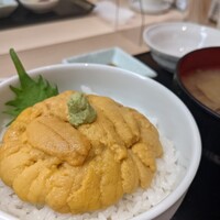 函館うに むらかみ 日本生命札幌ビル店 - 